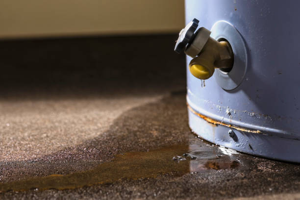 Best Emergency water damage restoration  in Homewood, SC