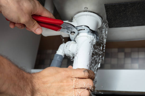 Best Local water damage restoration  in Homewood, SC