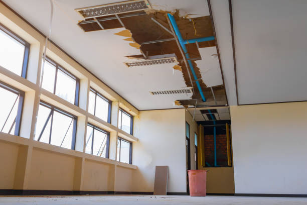 Best Carpet water damage restoration  in Homewood, SC
