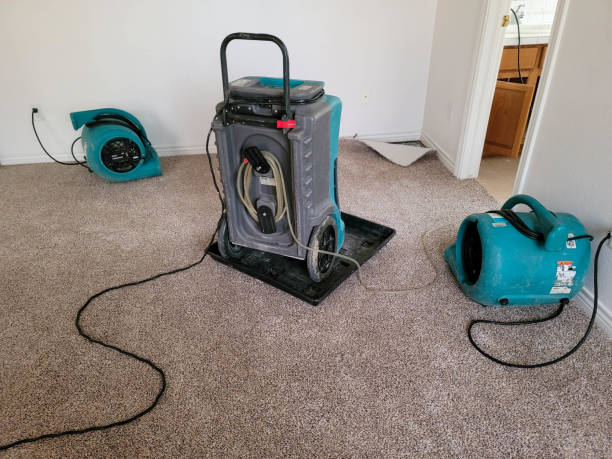 Best Ceiling water damage repair  in Homewood, SC