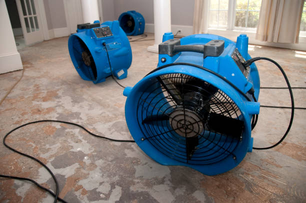 Best Residential water damage restoration  in Homewood, SC
