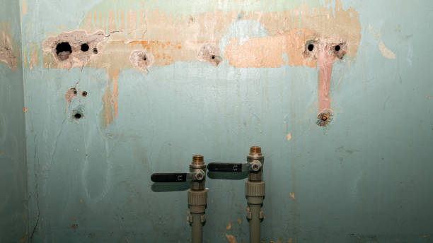 Best Water damage restoration near me  in Homewood, SC