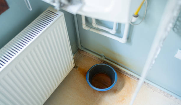 Carpet water damage restoration in Homewood, SC
