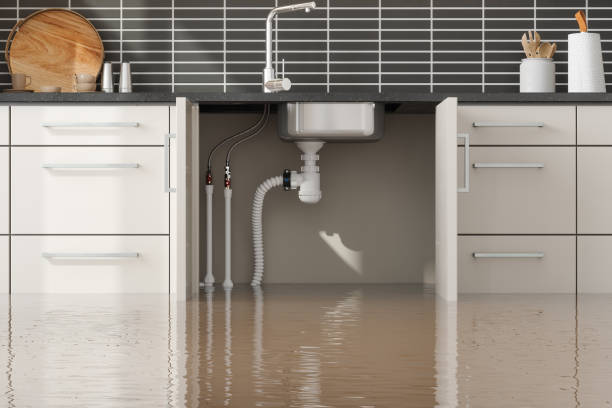 Best Flood damage cleanup  in Homewood, SC