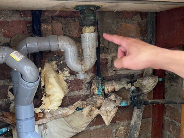 Reliable Homewood, SC Water damage restoration Solutions