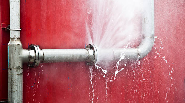 Best Emergency water extraction  in Homewood, SC
